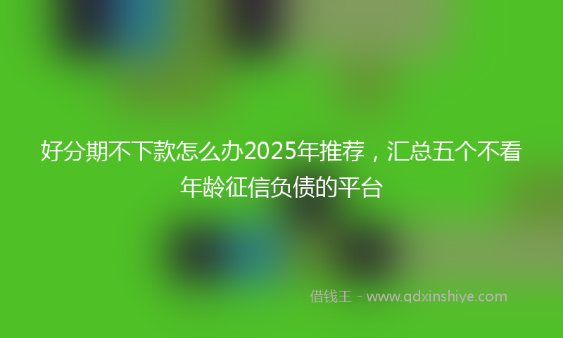 好分期不下款怎么办2025年推荐，汇总五个不看年龄征信负债的平台