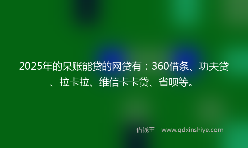 2025年的呆账能贷的网贷有：360借条、功夫贷、拉卡拉、维信卡卡贷、省呗等。