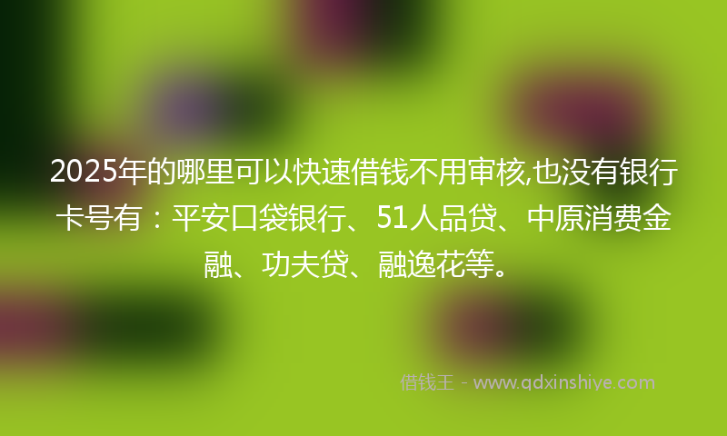 2025年的哪里可以快速借钱不用审核,也没有银行卡号有：平安口袋银行、51人品贷、中原消费金融、功夫贷、融逸花等。