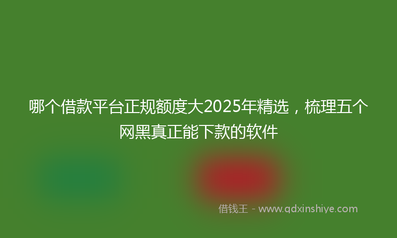 哪个借款平台正规额度大2025年精选，梳理五个网黑真正能下款的软件