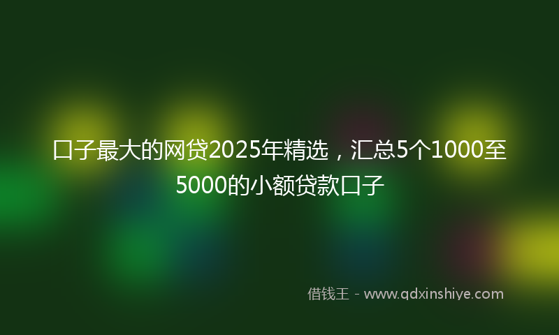 口子最大的网贷2025年精选，汇总5个1000至5000的小额贷款口子