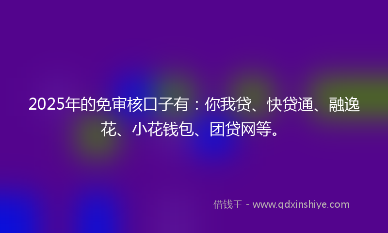2025年的免审核口子有：你我贷、快贷通、融逸花、小花钱包、团贷网等。