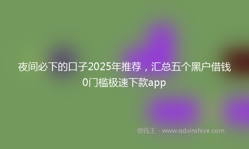 夜间必下的口子2025年推荐，汇总五个黑户借钱0门槛极速下款app