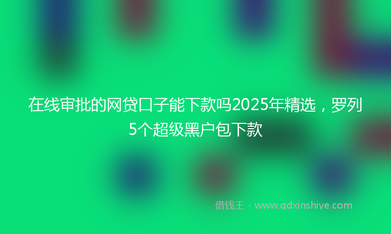 在线审批的网贷口子能下款吗2025年精选，罗列5个超级黑户包下款