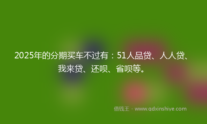2025年的分期买车不过有：51人品贷、人人贷、我来贷、还呗、省呗等。