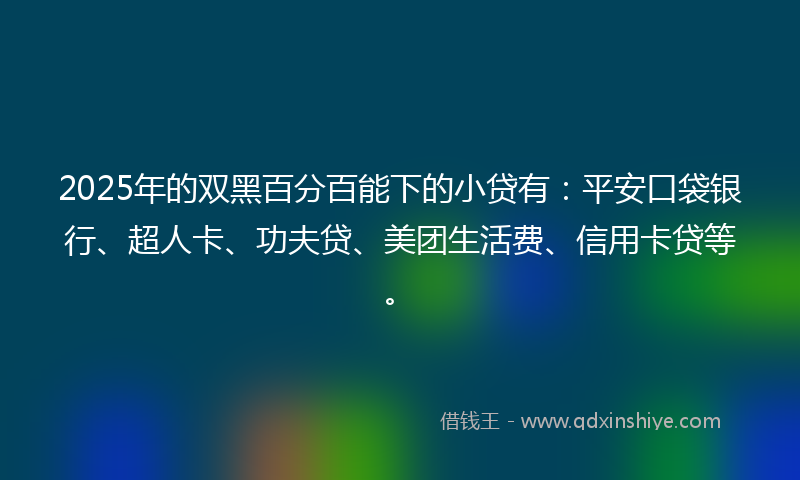 2025年的双黑百分百能下的小贷有：平安口袋银行、超人卡、功夫贷、美团生活费、信用卡贷等。