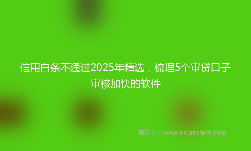 信用白条不通过2025年精选，梳理5个审贷口子审核加快的软件