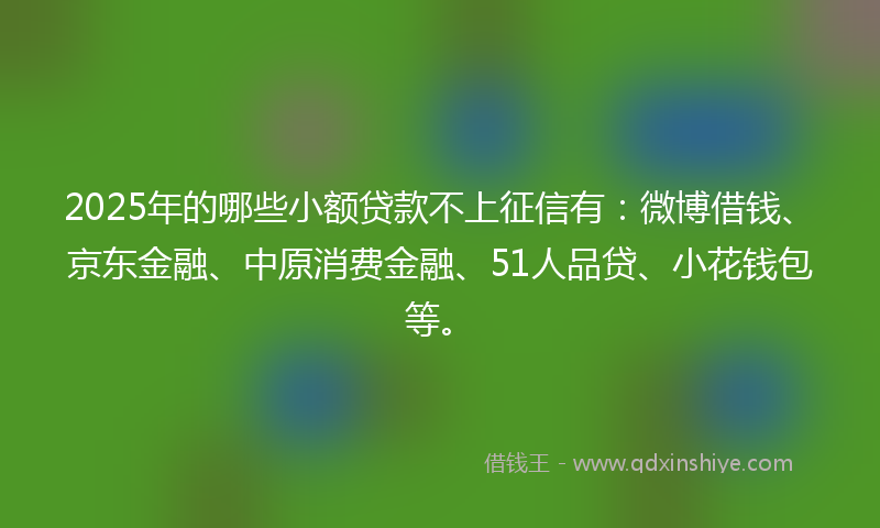 2025年的哪些小额贷款不上征信有：微博借钱、京东金融、中原消费金融、51人品贷、小花钱包等。