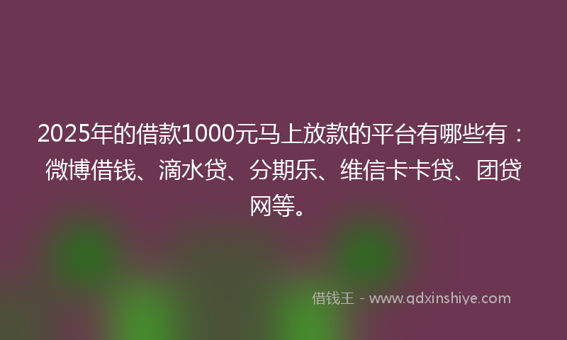 2025年的借款1000元马上放款的平台有哪些有：微博借钱、滴水贷、分期乐、维信卡卡贷、团贷网等。