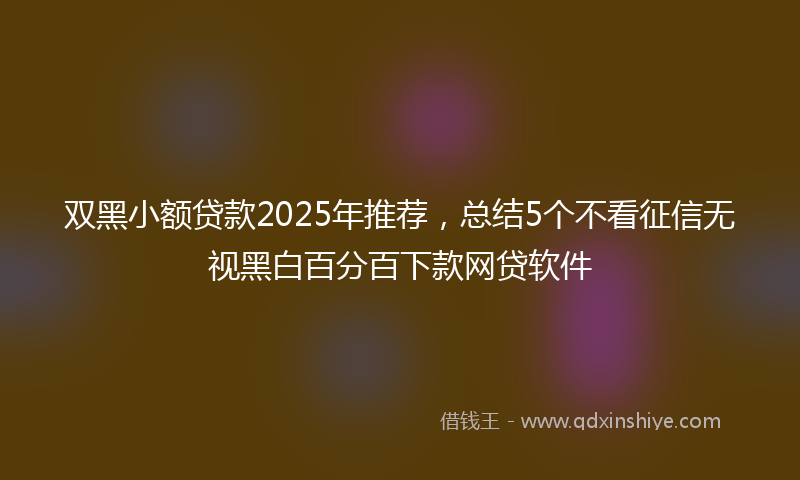 双黑小额贷款2025年推荐，总结5个不看征信无视黑白百分百下款网贷软件