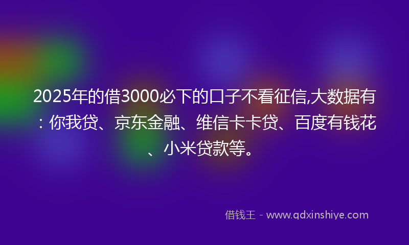 2025年的借3000必下的口子不看征信,大数据有：你我贷、京东金融、维信卡卡贷、百度有钱花、小米贷款等。