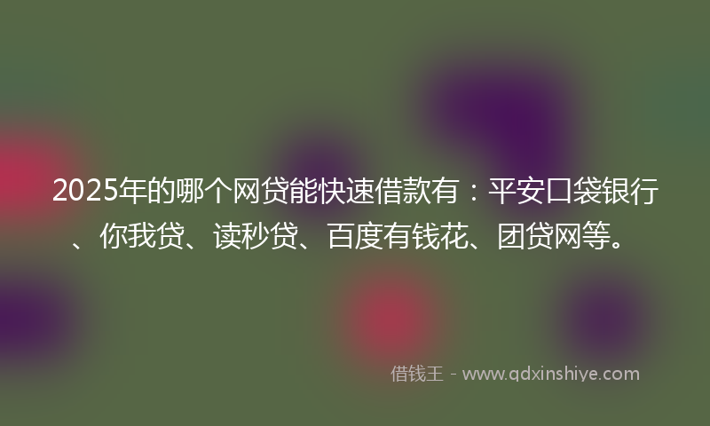 2025年的哪个网贷能快速借款有：平安口袋银行、你我贷、读秒贷、百度有钱花、团贷网等。