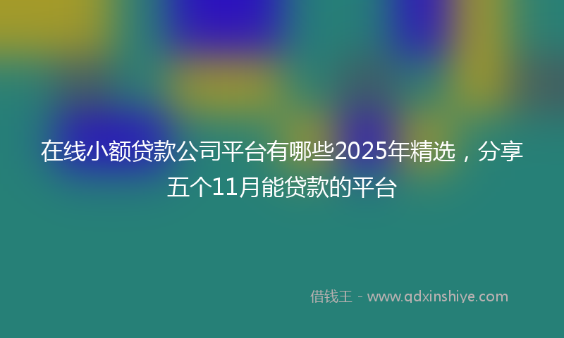 在线小额贷款公司平台有哪些2025年精选，分享五个11月能贷款的平台