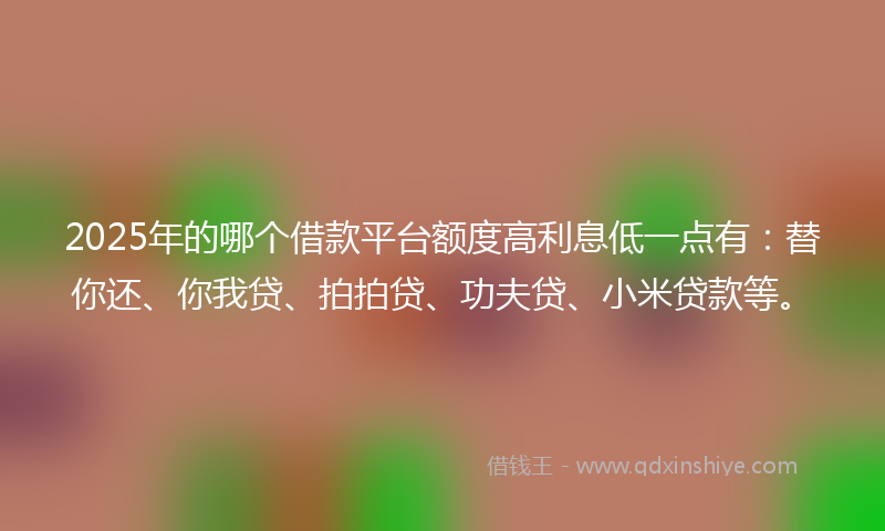 2025年的哪个借款平台额度高利息低一点有：替你还、你我贷、拍拍贷、功夫贷、小米贷款等。
