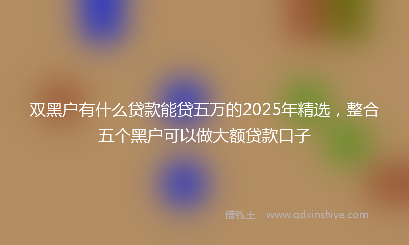 双黑户有什么贷款能贷五万的2025年精选，整合五个黑户可以做大额贷款口子