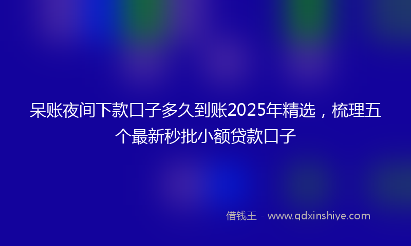 呆账夜间下款口子多久到账2025年精选，梳理五个最新秒批小额贷款口子