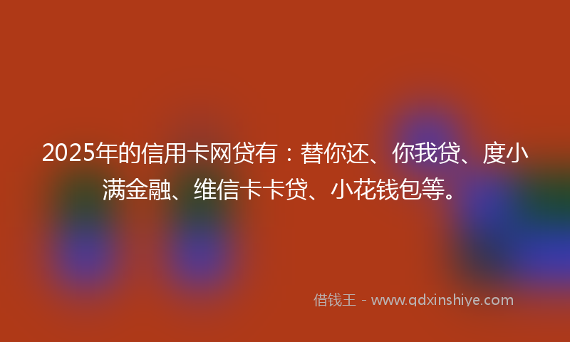 2025年的信用卡网贷有：替你还、你我贷、度小满金融、维信卡卡贷、小花钱包等。