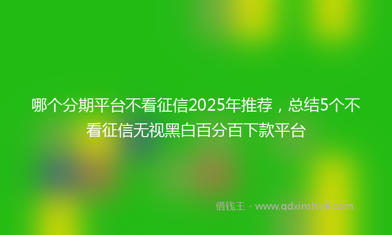 哪个分期平台不看征信2025年推荐，总结5个不看征信无视黑白百分百下款平台