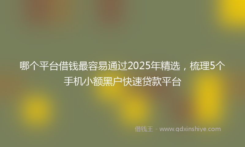哪个平台借钱最容易通过2025年精选，梳理5个手机小额黑户快速贷款平台