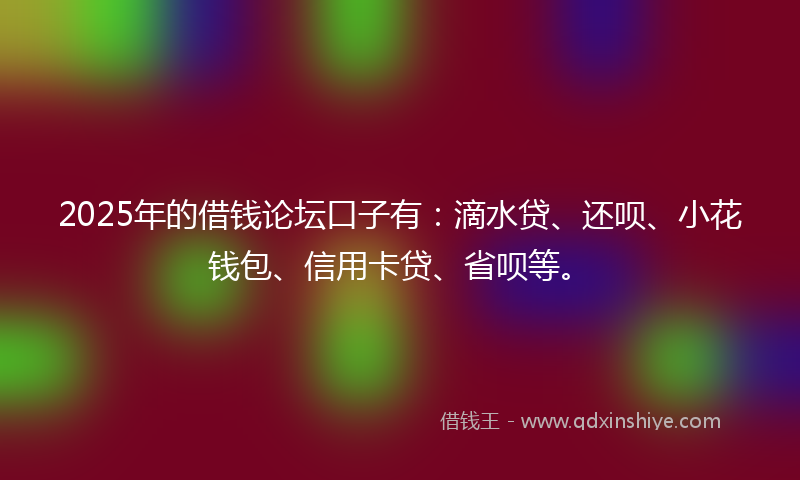 2025年的借钱论坛口子有：滴水贷、还呗、小花钱包、信用卡贷、省呗等。