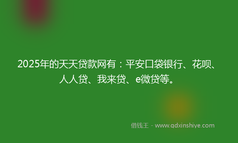 2025年的天天贷款网有：平安口袋银行、花呗、人人贷、我来贷、e微贷等。