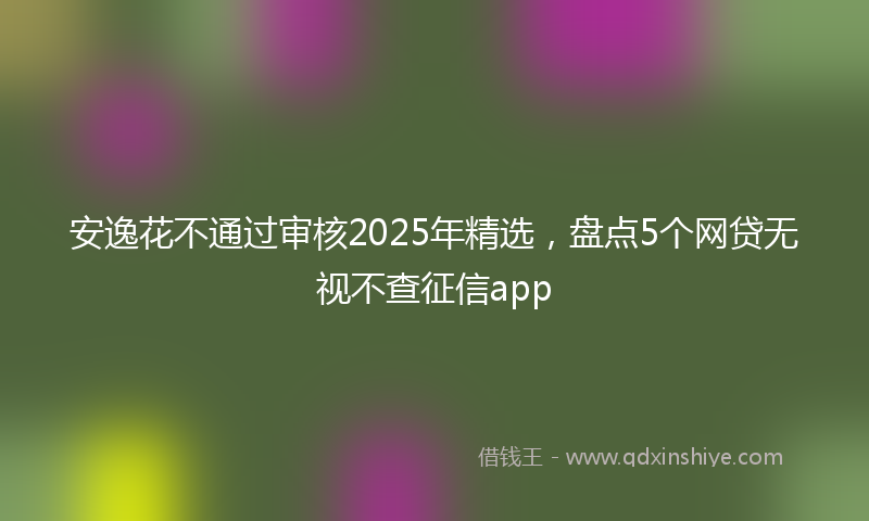安逸花不通过审核2025年精选，盘点5个网贷无视不查征信app