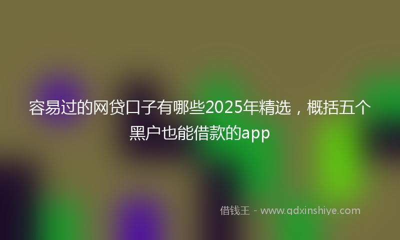 容易过的网贷口子有哪些2025年精选，概括五个黑户也能借款的app