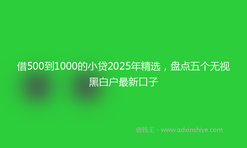 借500到1000的小贷2025年精选，盘点五个无视黑白户最新口子