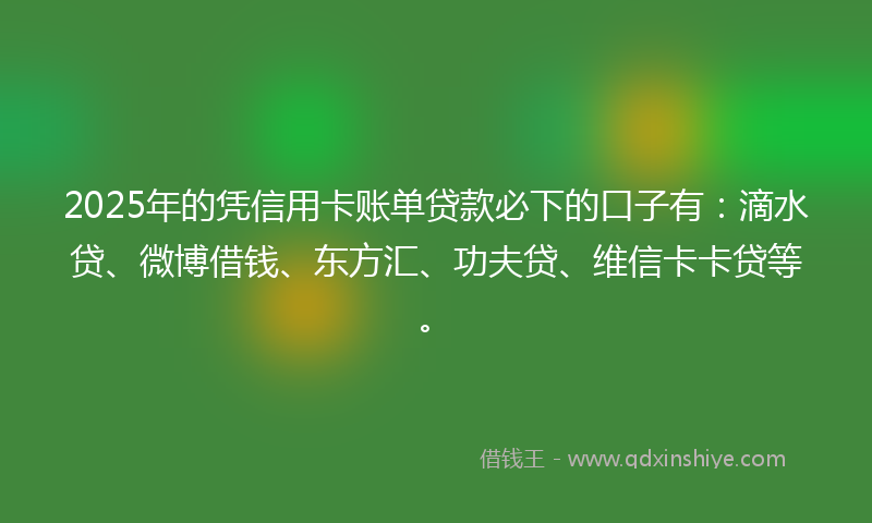 2025年的凭信用卡账单贷款必下的口子有：滴水贷、微博借钱、东方汇、功夫贷、维信卡卡贷等。