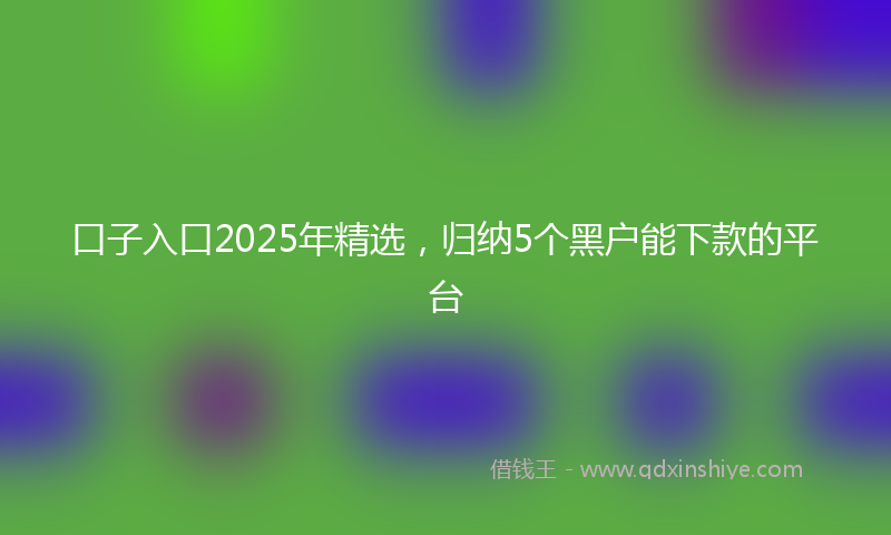口子入口2025年精选，归纳5个黑户能下款的平台