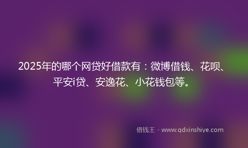 2025年的哪个网贷好借款有：微博借钱、花呗、平安i贷、安逸花、小花钱包等。