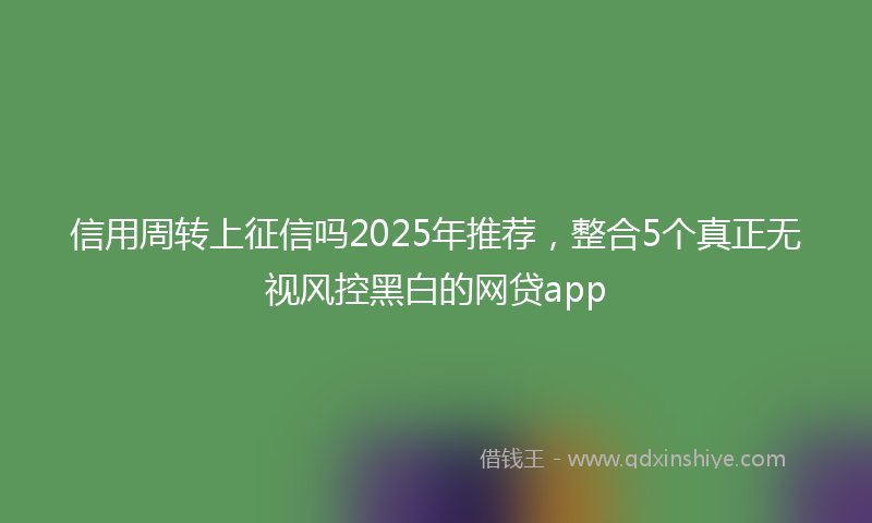 信用周转上征信吗2025年推荐，整合5个真正无视风控黑白的网贷app
