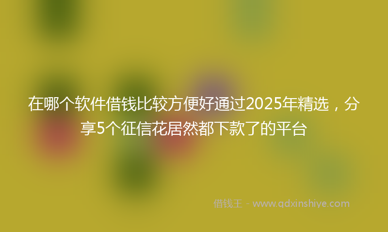 在哪个软件借钱比较方便好通过2025年精选，分享5个征信花居然都下款了的平台