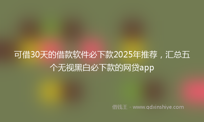 可借30天的借款软件必下款2025年推荐，汇总五个无视黑白必下款的网贷app