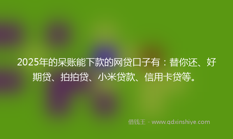2025年的呆账能下款的网贷口子有：替你还、好期贷、拍拍贷、小米贷款、信用卡贷等。