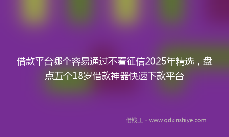 借款平台哪个容易通过不看征信2025年精选，盘点五个18岁借款神器快速下款平台