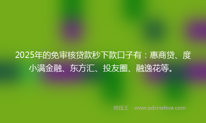 2025年的免审核贷款秒下款口子有：惠商贷、度小满金融、东方汇、投友圈、融逸花等。