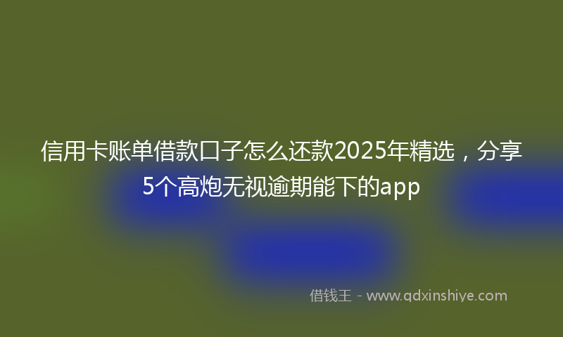 信用卡账单借款口子怎么还款2025年精选，分享5个高炮无视逾期能下的app