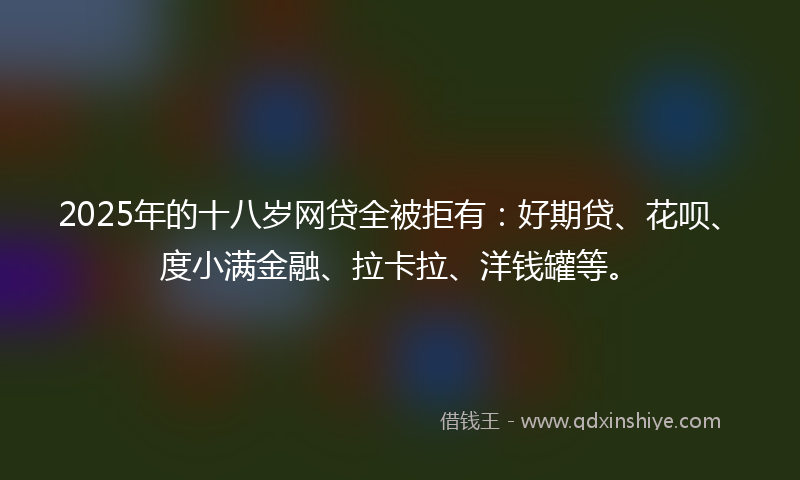 2025年的十八岁网贷全被拒有：好期贷、花呗、度小满金融、拉卡拉、洋钱罐等。