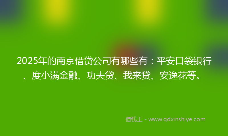 2025年的南京借贷公司有哪些有：平安口袋银行、度小满金融、功夫贷、我来贷、安逸花等。