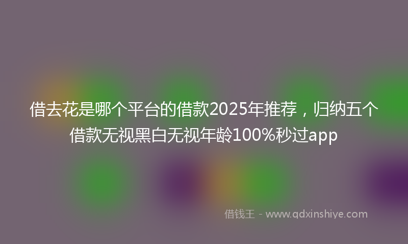 借去花是哪个平台的借款2025年推荐，归纳五个借款无视黑白无视年龄100%秒过app