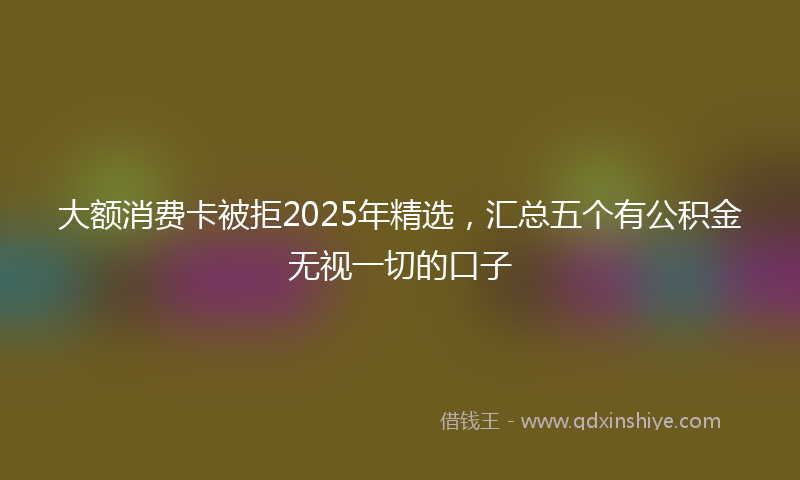 大额消费卡被拒2025年精选，汇总五个有公积金无视一切的口子
