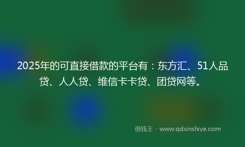 2025年的可直接借款的平台有：东方汇、51人品贷、人人贷、维信卡卡贷、团贷网等。