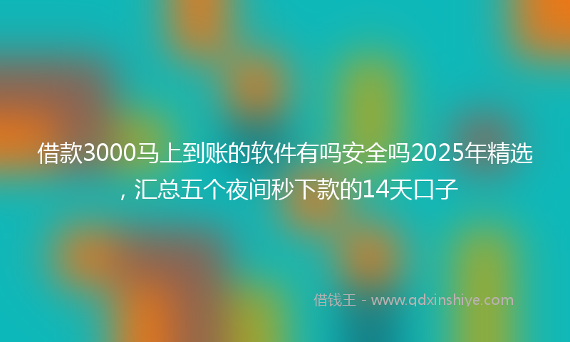 借款3000马上到账的软件有吗安全吗2025年精选，汇总五个夜间秒下款的14天口子