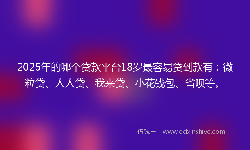 2025年的哪个贷款平台18岁最容易贷到款有：微粒贷、人人贷、我来贷、小花钱包、省呗等。
