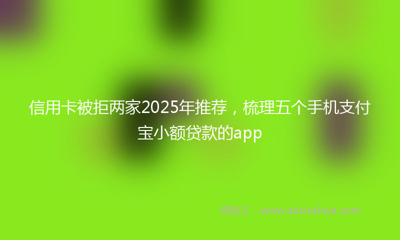 信用卡被拒两家2025年推荐，梳理五个手机支付宝小额贷款的app