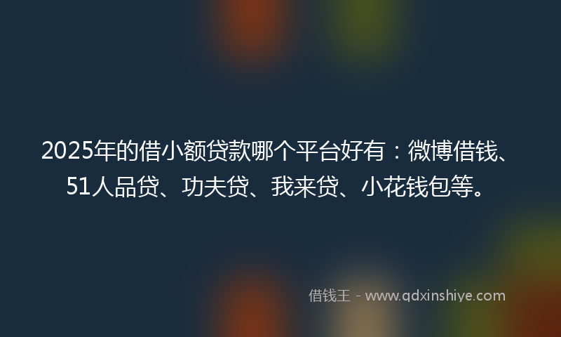 2025年的借小额贷款哪个平台好有：微博借钱、51人品贷、功夫贷、我来贷、小花钱包等。