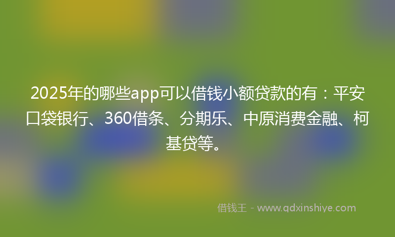 2025年的哪些app可以借钱小额贷款的有：平安口袋银行、360借条、分期乐、中原消费金融、柯基贷等。