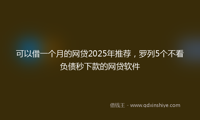 可以借一个月的网贷2025年推荐，罗列5个不看负债秒下款的网贷软件