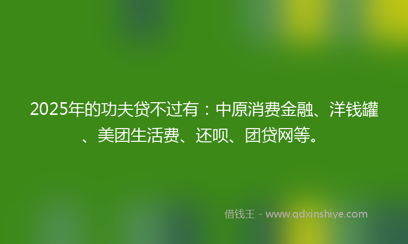 2025年的功夫贷不过有：中原消费金融、洋钱罐、美团生活费、还呗、团贷网等。